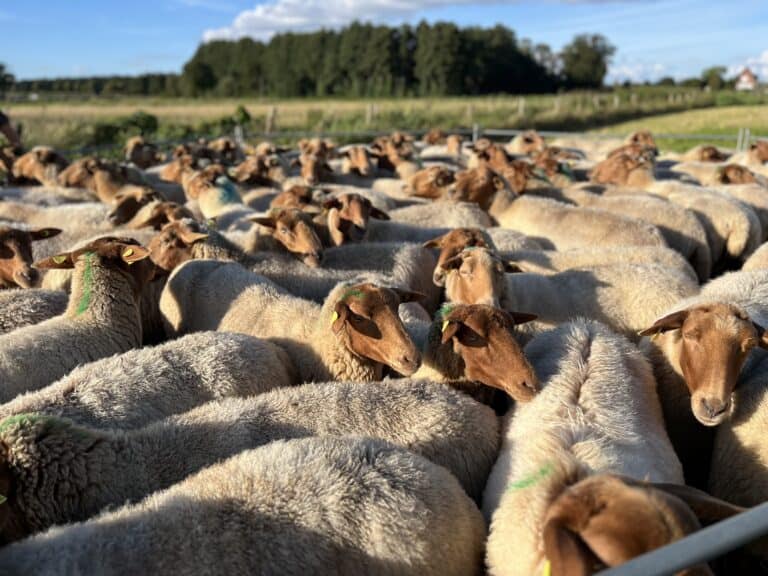 Besuch der Landwirtschaftskammer