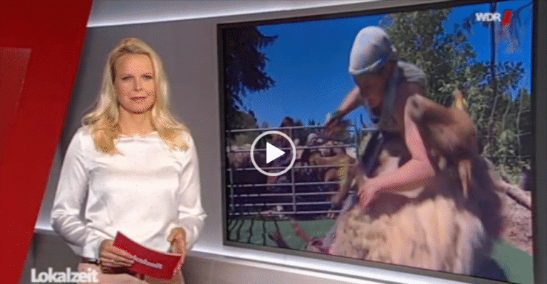 WDR besucht die Schafschur 😃