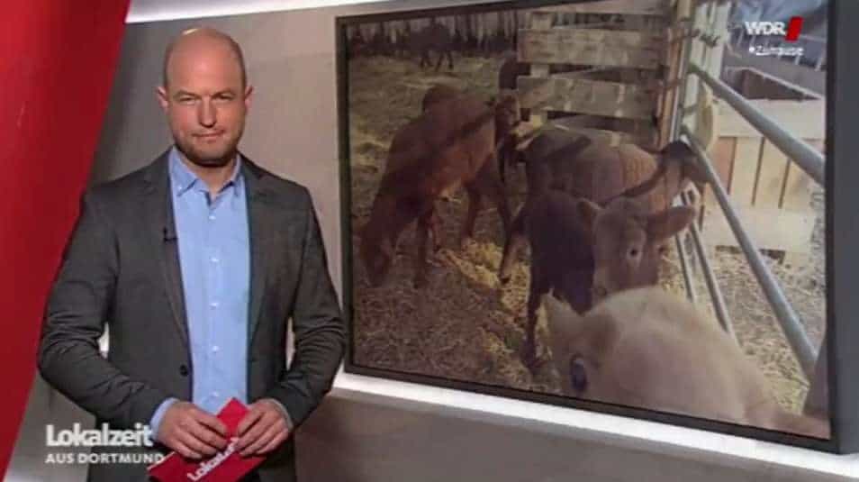 WDR Lokalzeit Naturhof Witten