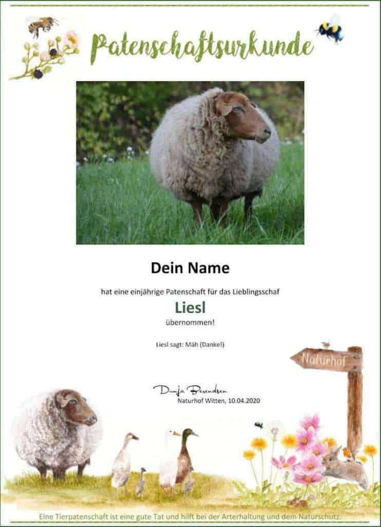 Urkunde Tierpatenschaft Schaf