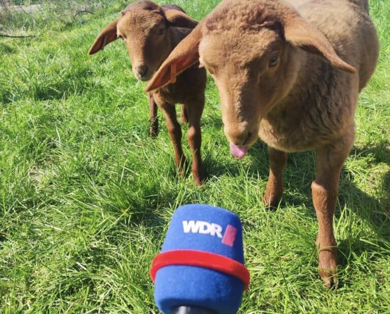 Das WDR Fernsehen war da!