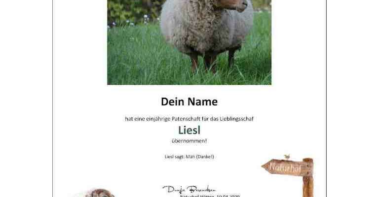 Urkunde Tierpatenschaft Schaf